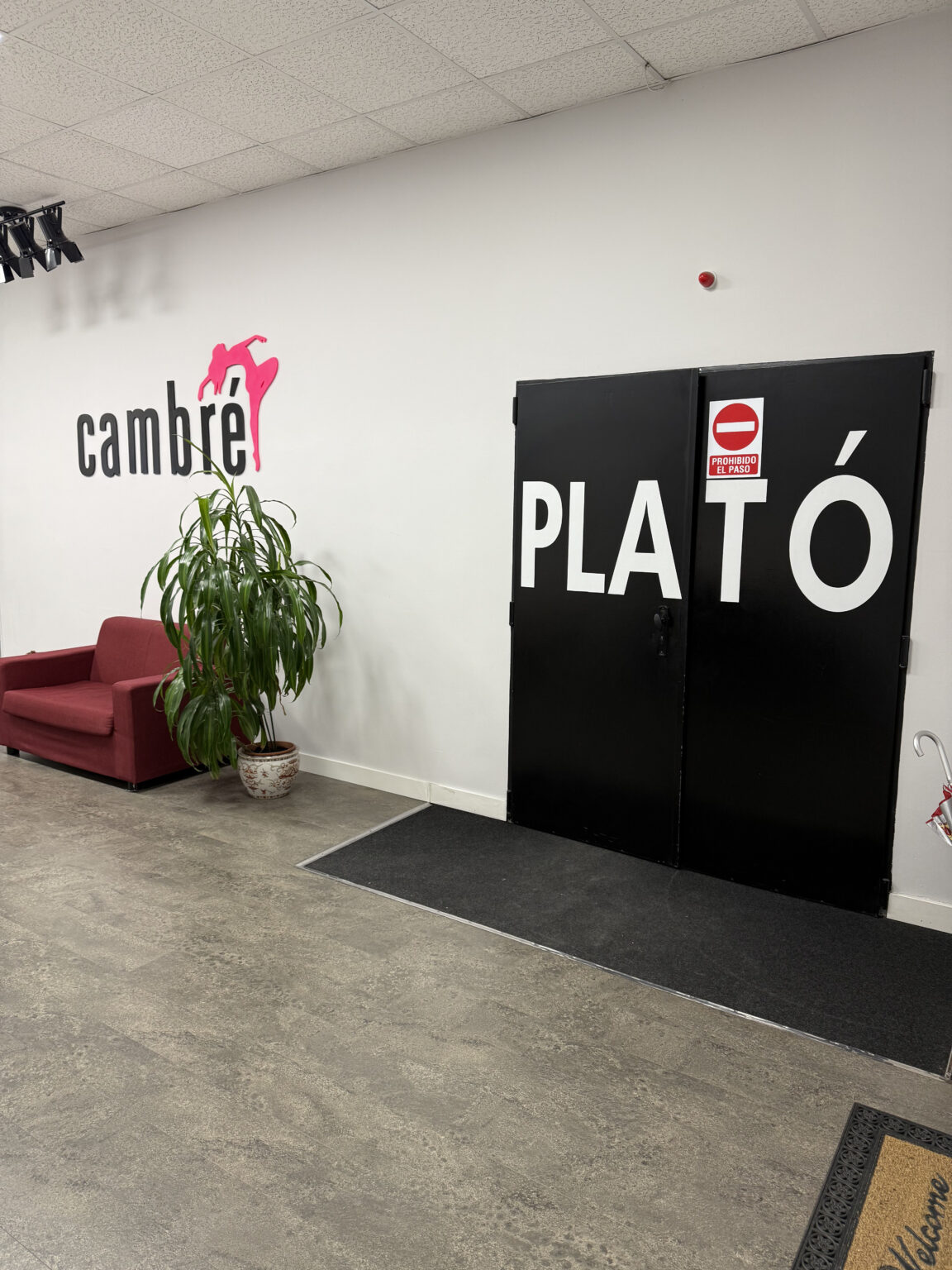 Desde el primer día, trabajamos técnica de movimiento de cadera y conexión de pareja, avanzando de manera progresiva para garantizar un aprendizaje sólido.